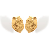 Aretes de gato peludo vista lateral